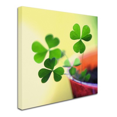 Trademark Fine Art -Beata Czyzowska Young 'Into the Light' Canvas Art