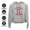 Stanford University Large Cropped Hoodie Pullover Sweatshirt - 2 of 4