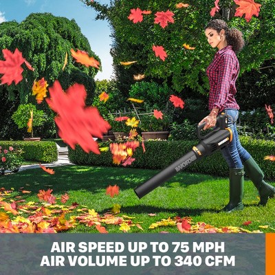 Worx 20V Cordless Grass Trimmer, Hedge Trimmer, and Blower Combo