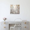 iCanvas Sunset Birch Forest III by Eva Watts Canvas Print Wall Art - 3 of 3