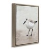 Stupell Industries Lone Sandpiper Bird Portrait Floating Frame Canvas Art - 2 of 4