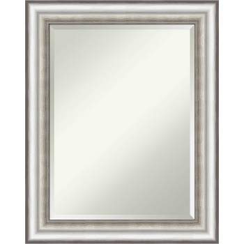 23" x 29" Salon Framed Wall Mirror Silver - Amanti Art