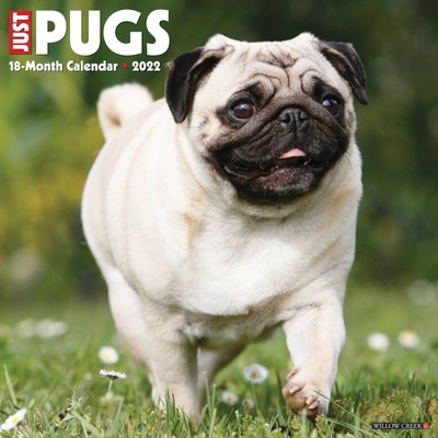 2022 Wall Calendar Just Pugs - Willow Creek Press