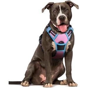 rabbitgoo Dog Harness No Pull with 2 Leash Clips, Control Handle for Large Dogs, Pink & Blue, L - 1 of 1