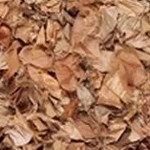 natural/multi