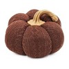 Gulches Series Multicolored Shatterproof Grid Pumpkin Harvest Festival Ornament - 4 of 4