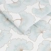 Begonia Blue Wallpaper - 3 of 4
