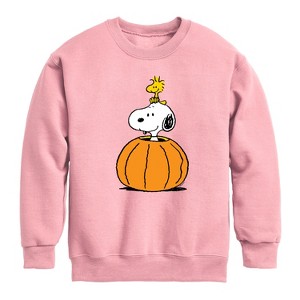 Boys' - Peanuts - Snoopy Woodstock Pumpkin Graphic Long Sleeve Fleece Sweatshirt - 1 of 4
