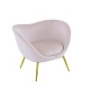Christopher Knight Home Rowan Modern Velvet Upholstered and Metal Accent Chair - 4 of 4