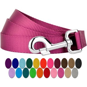 Country Brook Petz Nylon Dog Leash (3/8 Inch Wide) - 1 of 4