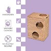 THE LICKER STORE Jaxon Modern Classic 2-Tier Handwoven Hyacinth Rectangular 5-Hole Cat Condo with 2 Machine-Washable Cushions - 3 of 4