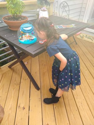 b toys bug hotel