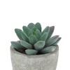 Unique Bargains Artificial Plants Mini Pulp with Graptopetalum Plastic Green 2.76"x2.76"x3.15" 1 Pc - 4 of 4