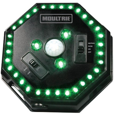 Moultrie MFA-12651 Motion-Activated LED Hog Feeder Light with 30-Foot Radius