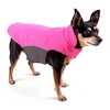 The Worthy Dog All-Weather Three-Season Apex Nylon Dog Jacket - 2 of 2