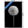Trends International Tom Quartermaine - Black and White Dandelion Framed Wall Poster Prints - 3 of 4
