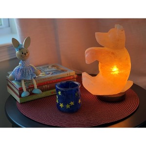 Bear Himalayan Salt Novelty Table Lamp Pink - Q&A Himalayan Salt: Rock Salt, USB Electric, No Assembly Required - 1 of 3