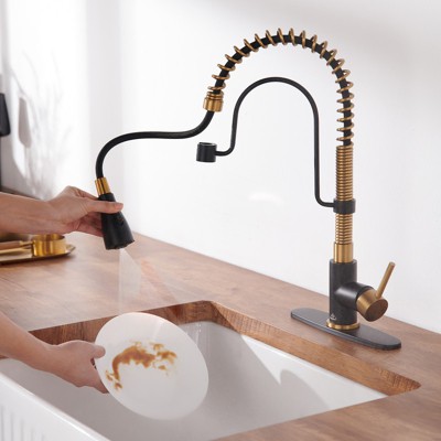 Matte Black and Brushed Gold Stainless Steel Pull Down Kitchen Faucet