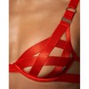 Women's Ariana Wired Bra - BLUEBELLA - 3 of 3