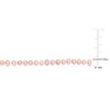EVERLY JEWELRY | Yellow Plated Sterling Silver 3-4mm Pink Cultured Freshwater Pearl Bracelet, 6 inch - 4 of 4