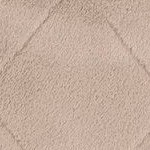 amy taupe