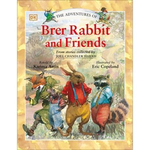 The Adventures of Brer Rabbit and Friends - by  DK (Paperback) - 1 of 1