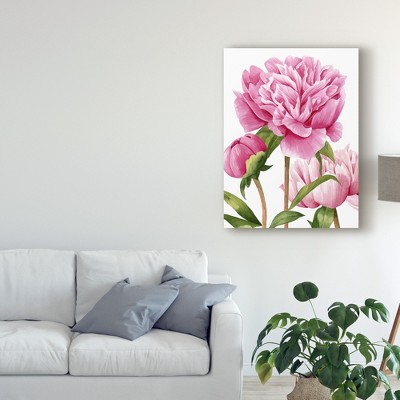 Grace Popp Winsome Peonies II Canvas Art, 24x32