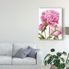 Trademark Fine Art -Grace Popp 'Winsome Peonies Ii' Canvas Art - 3 of 4