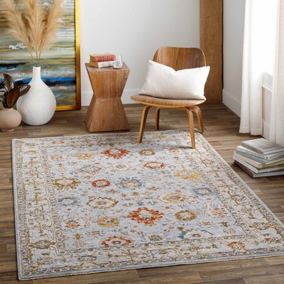 Hauteloom Cabinteely Oushak Area Rug : Target