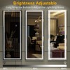 Floor Mirror, with LED Adjustable Light, Aluminum Alloy  Arched  Full Body Mirror, for Home Office Clothing Store, 63"X 20" - 4 of 4