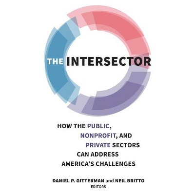 The Intersector - by  Daniel P Gitterman & Neil Britto (Paperback)