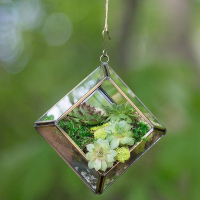 Copper and Glass Diamond Hanging Terrarium for Indoor Plants
