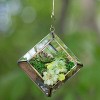 D'Eco Glass Mini Diamond Plant Terrarium (5 x 5 x 3.5") - Indoor Tabletop Copper Geometric Planter Holiday Decor - Christmas Gift for Plant Lovers - 2 of 3