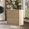 FUFU&GAGA Practical Wooden Nightstand Dresser: Natural Aesthetic Ample Storage and Concealed Drawer - 3 of 4