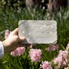 Pavilion Gift Company - Spoiled Dog - 7" x 4.25" Garden Stone - Stepping Stones and Pathways - 2 of 4