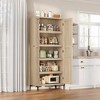 63 Inch Tall Storage Cabinet, Kitchen Pantry Cabinet 5 Tier Bathroom Cabinet with 4 Doors Adjustable Shelves - 4 of 4