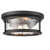 Millennium Lighting Bresley 2 - Light Flush Mount in  Powder Coated Black - 2 of 4