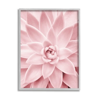 Stupell Industries Pastel Pink Succulent Framed Giclee Art