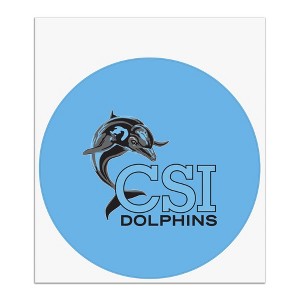 College of Staten Island Primary Logo Automotive Car Window Locker Circle Bumper Sticker - 1 of 4