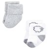Hudson Baby Unisex Baby Cotton Rich Newborn and Terry Socks, Farm - 4 of 4