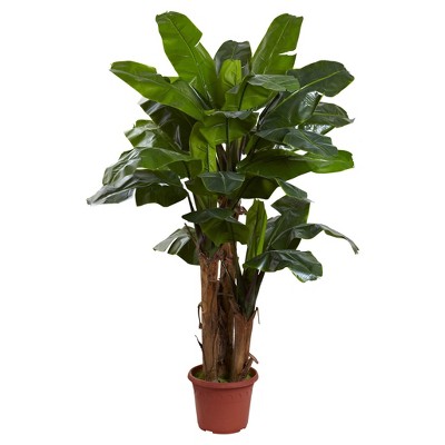 7ft Indoor/Outdoor UV Resistant Full Triple Stalk Banana Tree - Nearly Natural