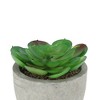 Unique Bargains Artificial Plants Mini Frost Lotus in Pulp Plastic 2.76"x2.76"x2.95" 1Pcs - 4 of 4