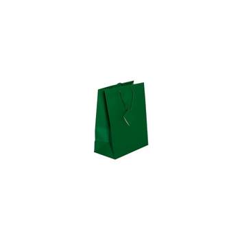 JAM PAPER Gift Bags with Rope Handles Large 10 x 13 x 5 Green Matte 3/Pack (673MAGRA)