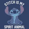 Boy's Lilo & Stitch Experiment 626 Spirit Animal Pull Over Hoodie - 2 of 4