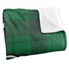 University Of Wisconsin Parkside Campus Plaid Spirit Silky Touch Super Soft Throw Blanket 50x60 - 3 of 4