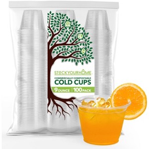 Stock Your Home 9-oz Clear Disposable Cold Cups (100 Pack) - 1 of 1