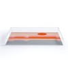 Circa78Designs Honey Hills Acrylic Tray - Deny Designs - 2 of 4