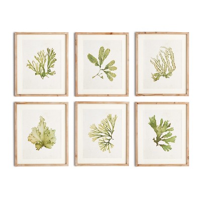 Plum & Post Kelp Prints, Set Of 6