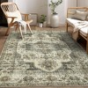 Washable Rug 6x9 – Anti-Slip Low Pile Ultra-Thin Vintage Distressed Stain-Resistant Non-Shedding Throw Carpet for Living Room, Bedroom, Rustic - 4 of 4