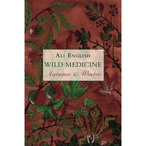 Wild Medicine, Autumn and Winter - by  Ali English (Paperback) - 1 of 1